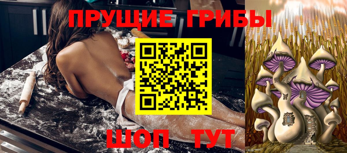 Сосновый Бор  Псилоцибиновые грибы Magic Shrooms  Галлюциногенные грибы Magic Shrooms  Вход с VPN 